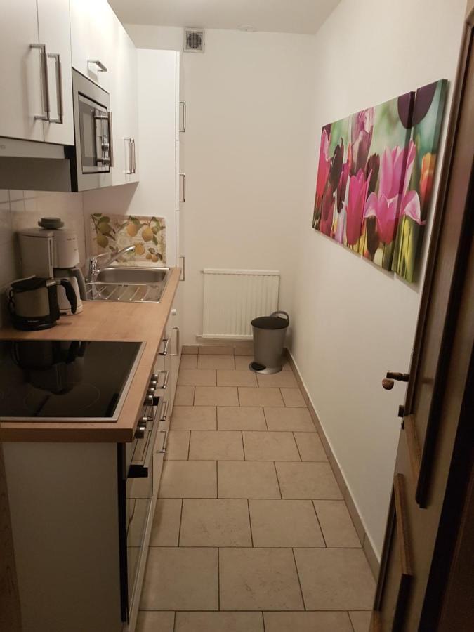 Apartments Spiegl Holzmann 比绍夫斯霍芬 外观 照片