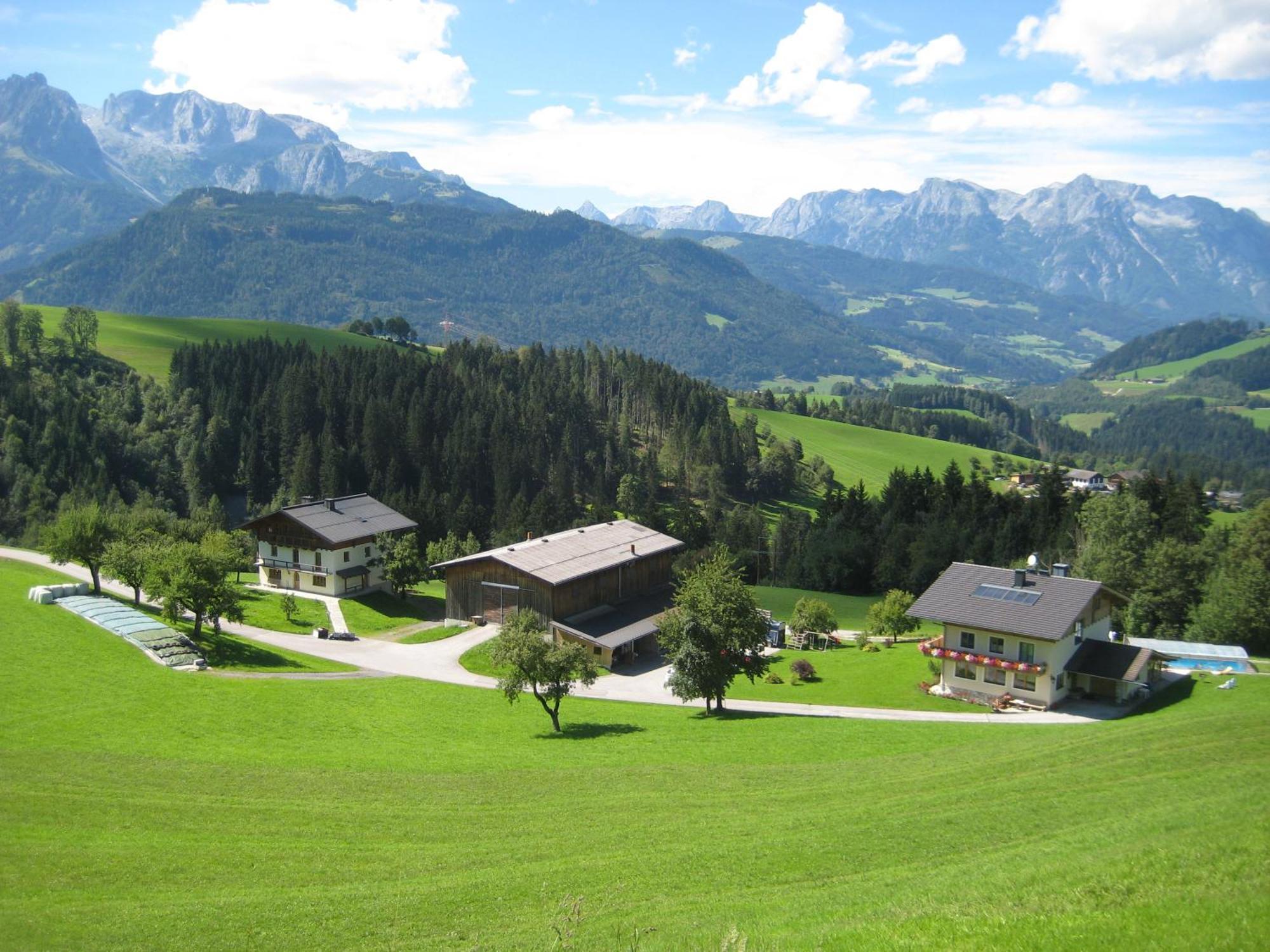 Apartments Spiegl Holzmann 比绍夫斯霍芬 外观 照片